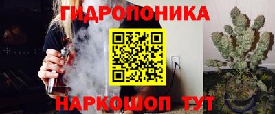 прущие грибы Кунгур